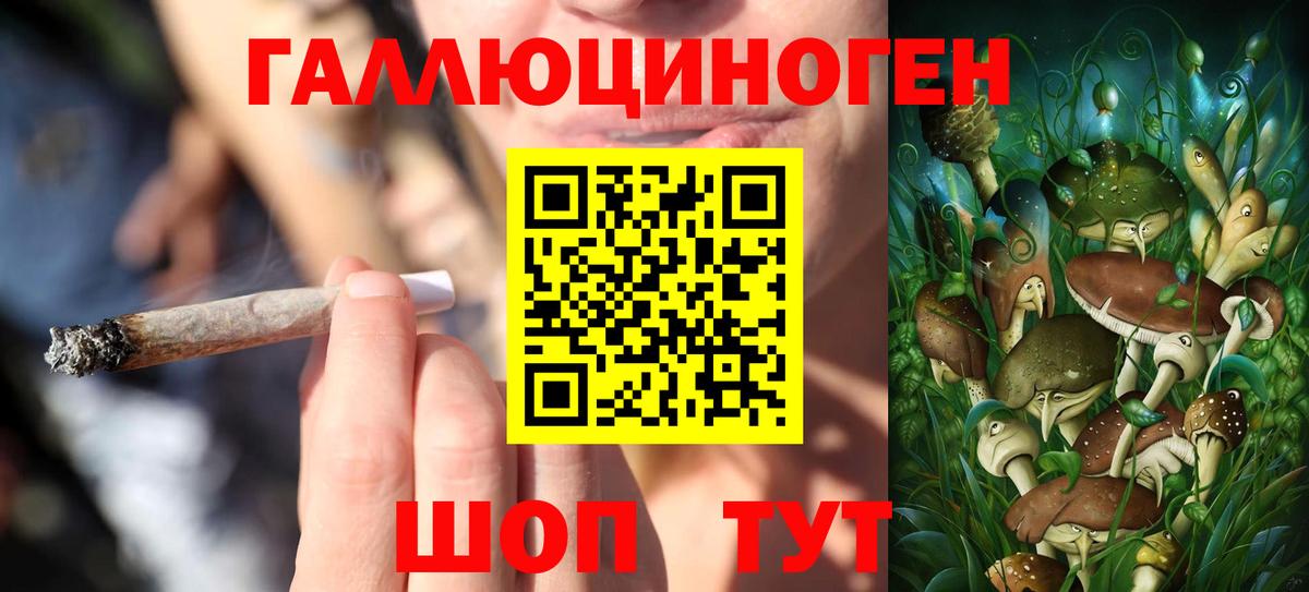 Псилоцибиновые грибы Magic Shrooms  Вход с VPN  как найти наркотики  Севастополь 